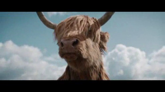 Virgin Media: Highland Rider