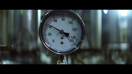 Budweiser: Stand By You