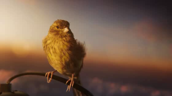 Ikea: Our Little World