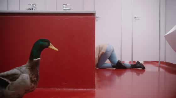 Bank2: Ducks