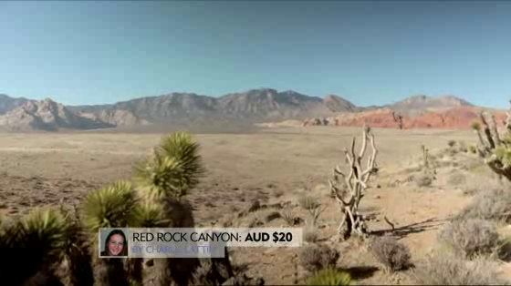 Expedia: Las Vegas