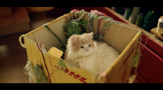 DHL: DHL make a good thing even better