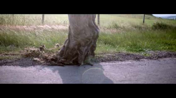 Unilever: Farewell To The Forest