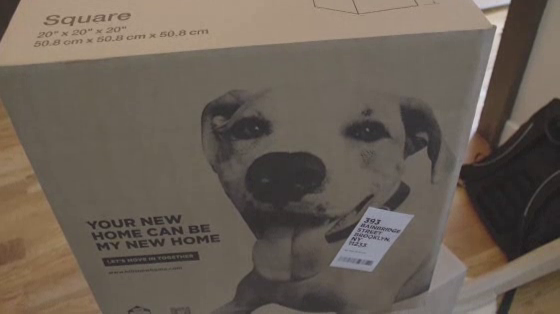 Hill's Food, Shelter & Love Program: Outside the Box Adoption Message