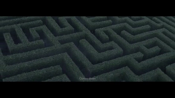Lexus Plus: Maze