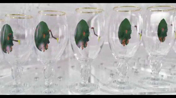 Stella Artois: Buy a Lady a Drink