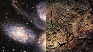 Arbio Peru: Galaxy 3
