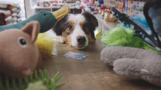 Interac Association: Pets With Credit