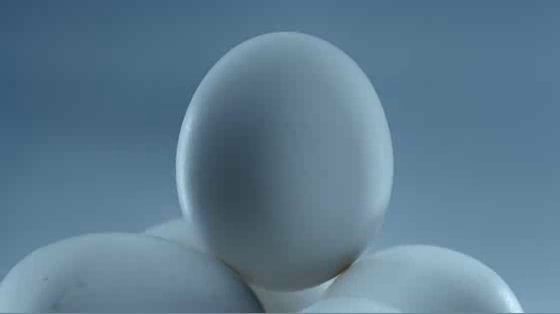 Samsung: L'Oeuf