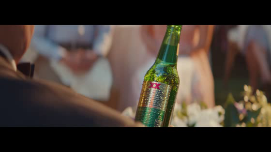 Dos Equis: Toast