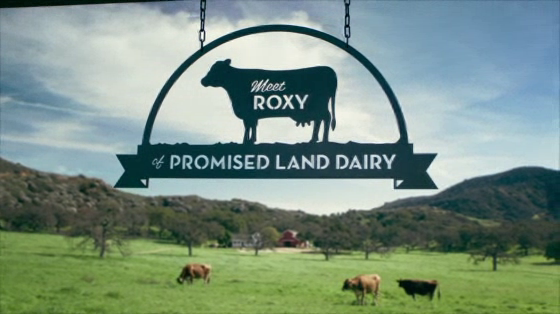 Promised Land Dairy: Rebel