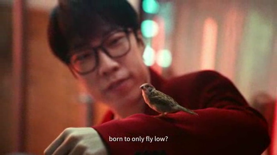 Jordan Brand: Sparrow
