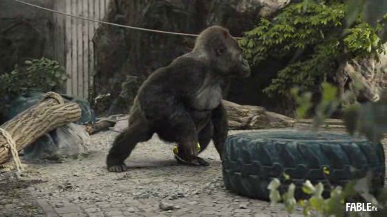 PETA (People for the Ethical Treatment of Animals): Break Free