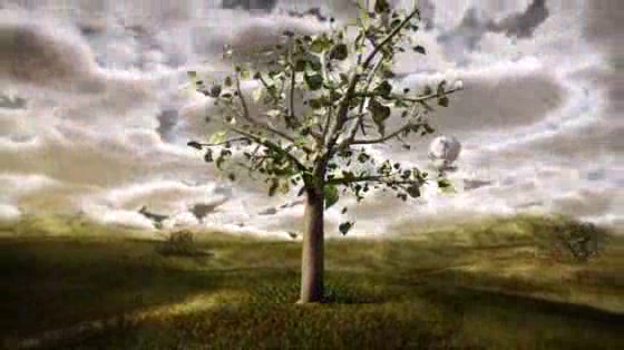 McDonald's: Apple Trees