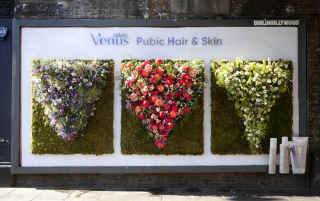 Gillette Venus: Floral Vaginas