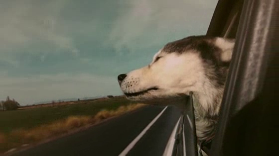 Kia Motors: Let’s Road Trip