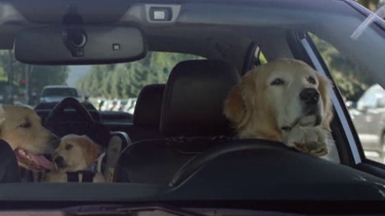 Subaru: Windshield Wiper
