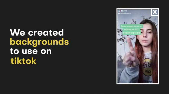 Greenpeace: The Background of The Problem