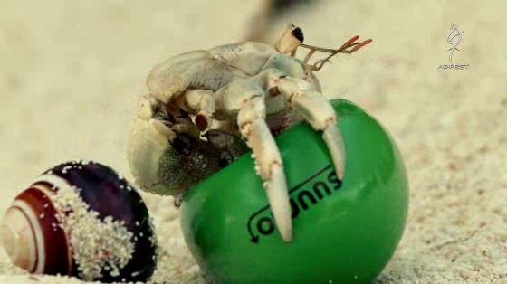 Suumo: Shell We Move