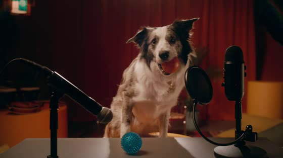 New York Lottery: Wanna Go For A Walk
