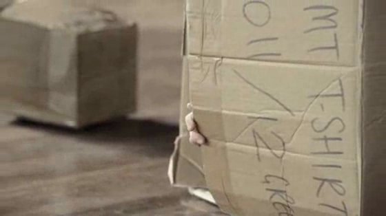 McDonald's Happy Meals: Kids and boxes