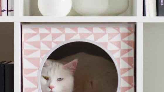 IKEA: IKEA PETS TUNES