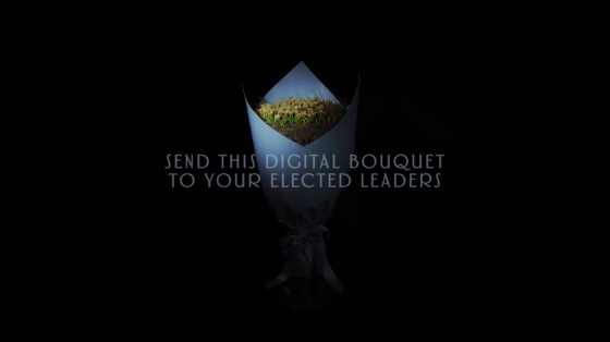 Environmental Leadership Canada: The Planet’s Scariest Bouquet