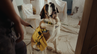 ASB: Sunny's Tool Belt