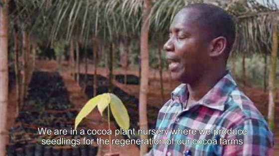 KitKat / Nestle: Better Farming