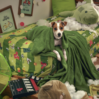 Dog Training School: Love hurts. Training treats.
