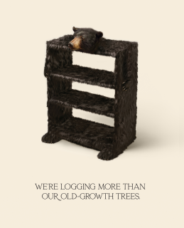Living Forest Institute & The Only Animal:  Logging more than trees - Shelf