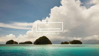 Stuart Alexander: Palau: The Palau Pledge