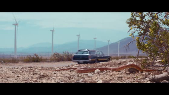 Banana Boat: Car