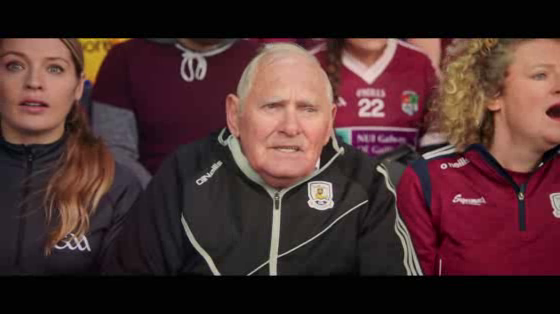 The GAA (Gaelic Athletic Association): Where We All  Belong / CLG - Tá Áit Duinn Uilig Ann
