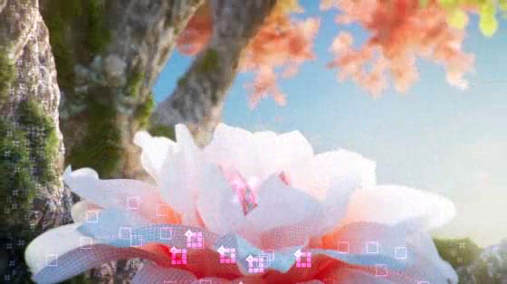 Z by HP: Grow Beyond