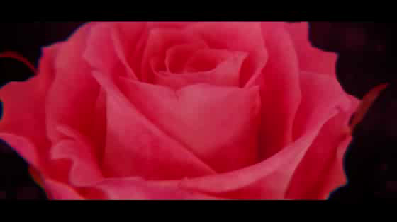 Durex: Feels Right, 2