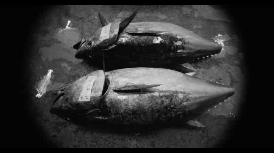 Sapporo: Win This Fish