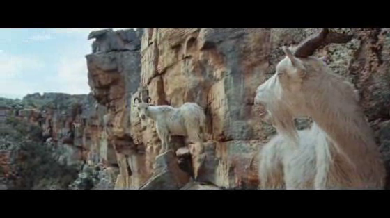 Virgin Media: Goat Glider