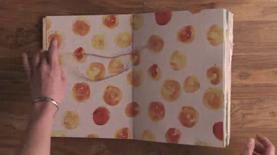 Kashi: Kashi Plantable Book