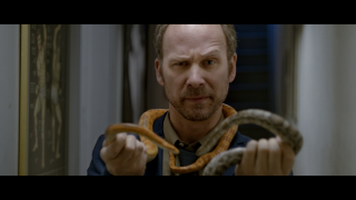 Venom: Snakebombing