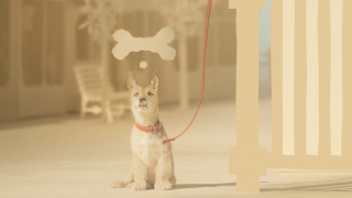 Nationwide Building Society: Mutuality
