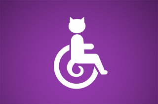 Pain relief for cats: Cat Ramps