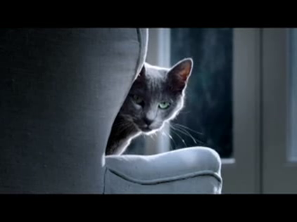 Sheba: Desire