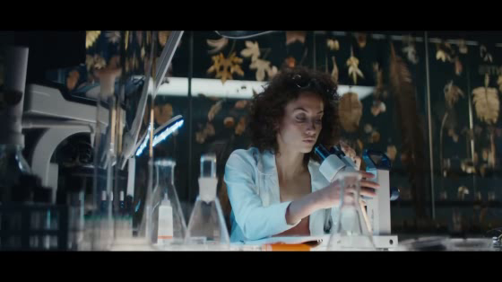 Lexus: Our Greatest Curiosity