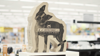 Move Institute: Pet BOx