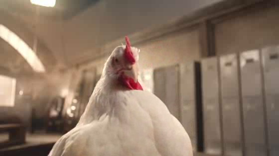 KFC: The Whole Chicken