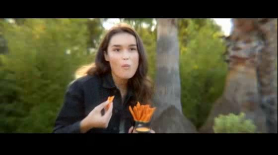 Taco Bell: Web of Fries