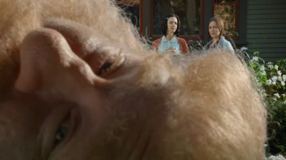 GEICO: Giant