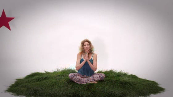 Center for Biological Diversity: Bring Back the Bears: Yoga Instructor