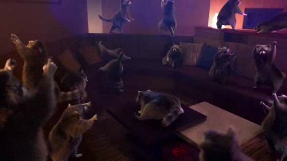 Schneider Electric: Raccoon Dance Party